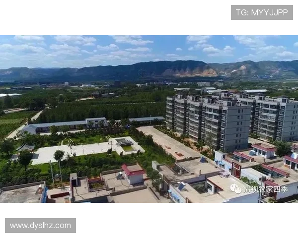 临沂姚明市长推动城市发展新战略助力经济腾飞与民生改善